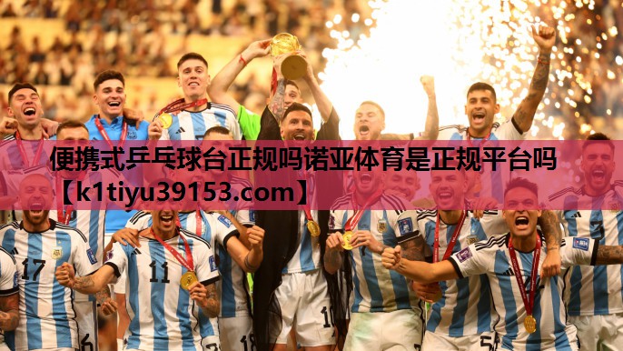 便携式乒乓球台正规吗诺亚体育是正规平台吗