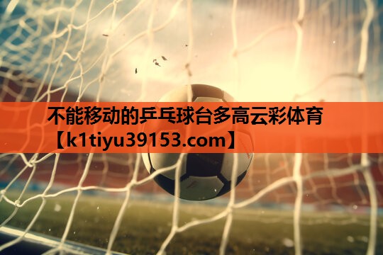 不能移动的乒乓球台多高云彩体育