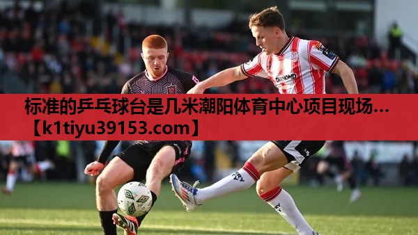 标准的乒乓球台是几米潮阳体育中心项目现场…