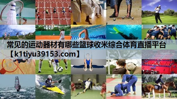 常见的运动器材有哪些篮球收米综合体育直播平台